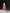 Bioactive Prebiotics Jelly Serum