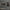 444439021