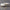 445730231