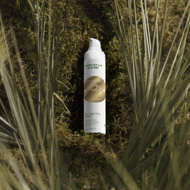 Anti-Age Day Cream