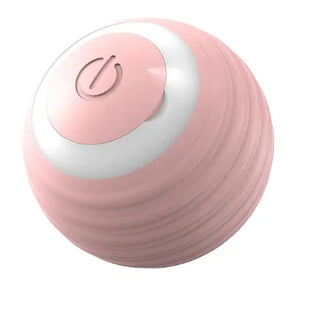 Interactive Smart Dog Toy Ball